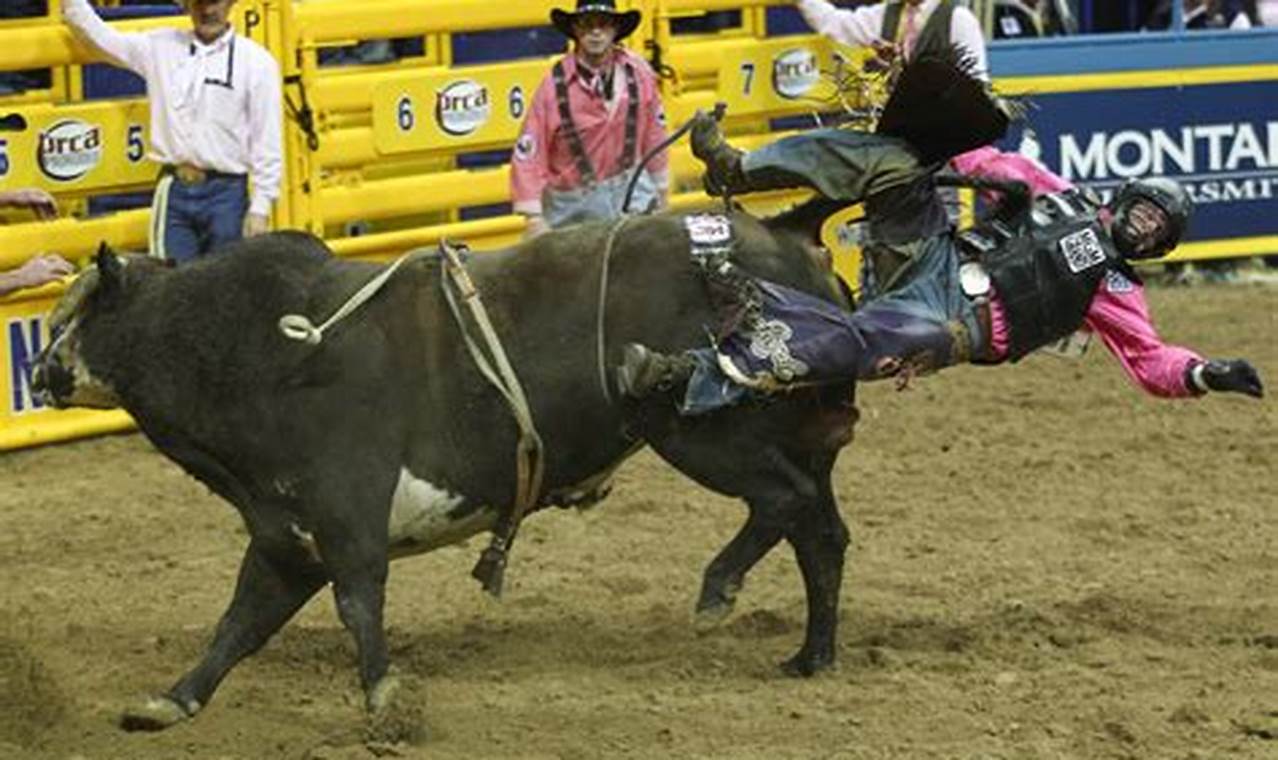 Bull Rider Knocked Out At Nfr 2024
