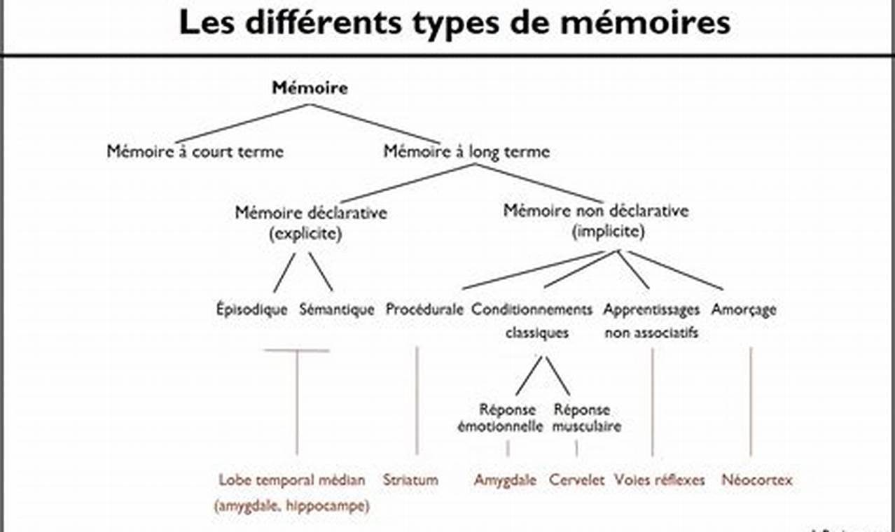 C'Est Quoi La Mémoire D'Un Téléphone