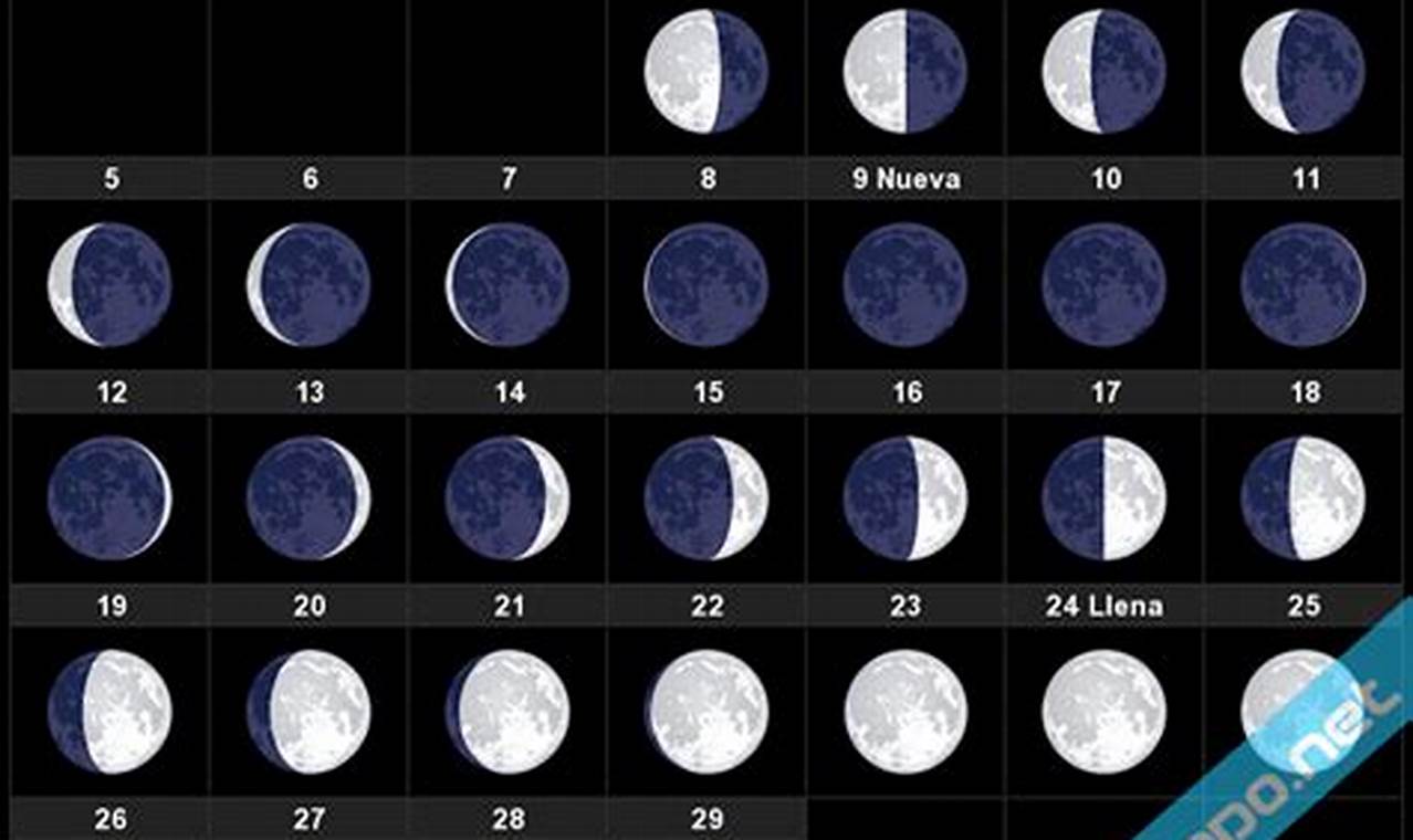 Calendario Lunar 2024 Febrerot