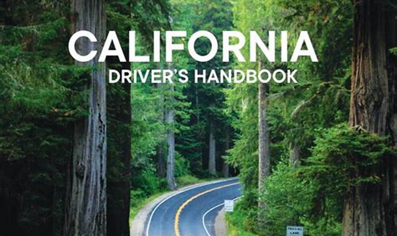 California 2024 Dmv Handbook