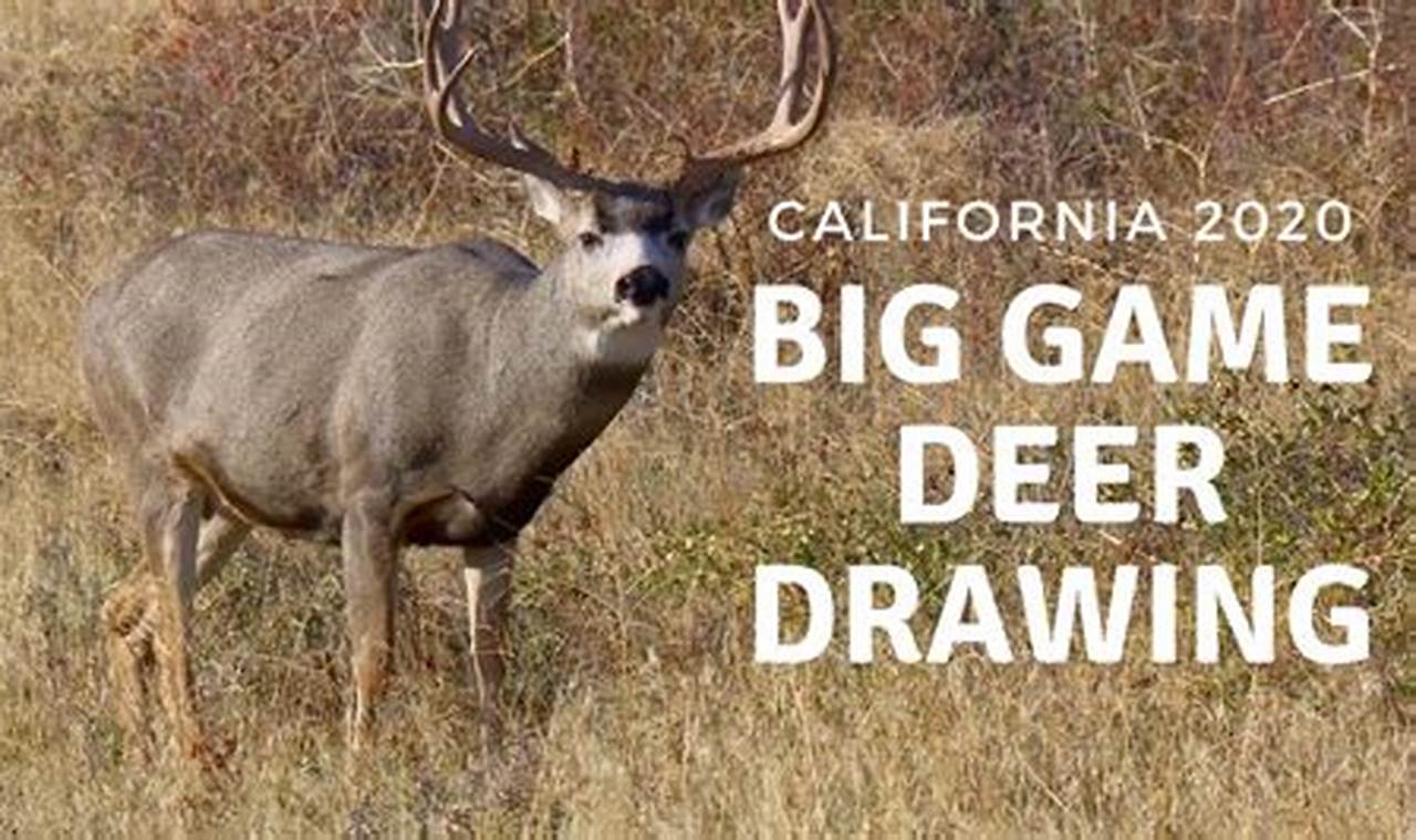 California Big Game Draw 2024
