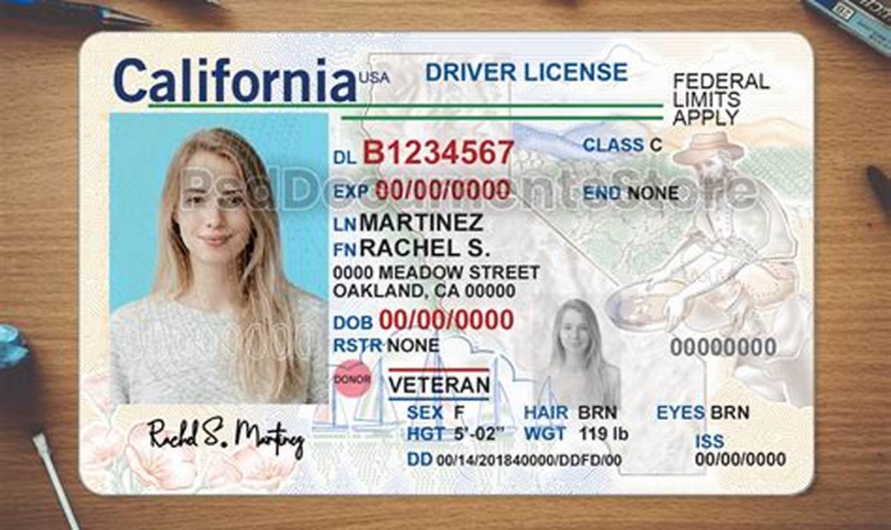 California Drivers License 2024