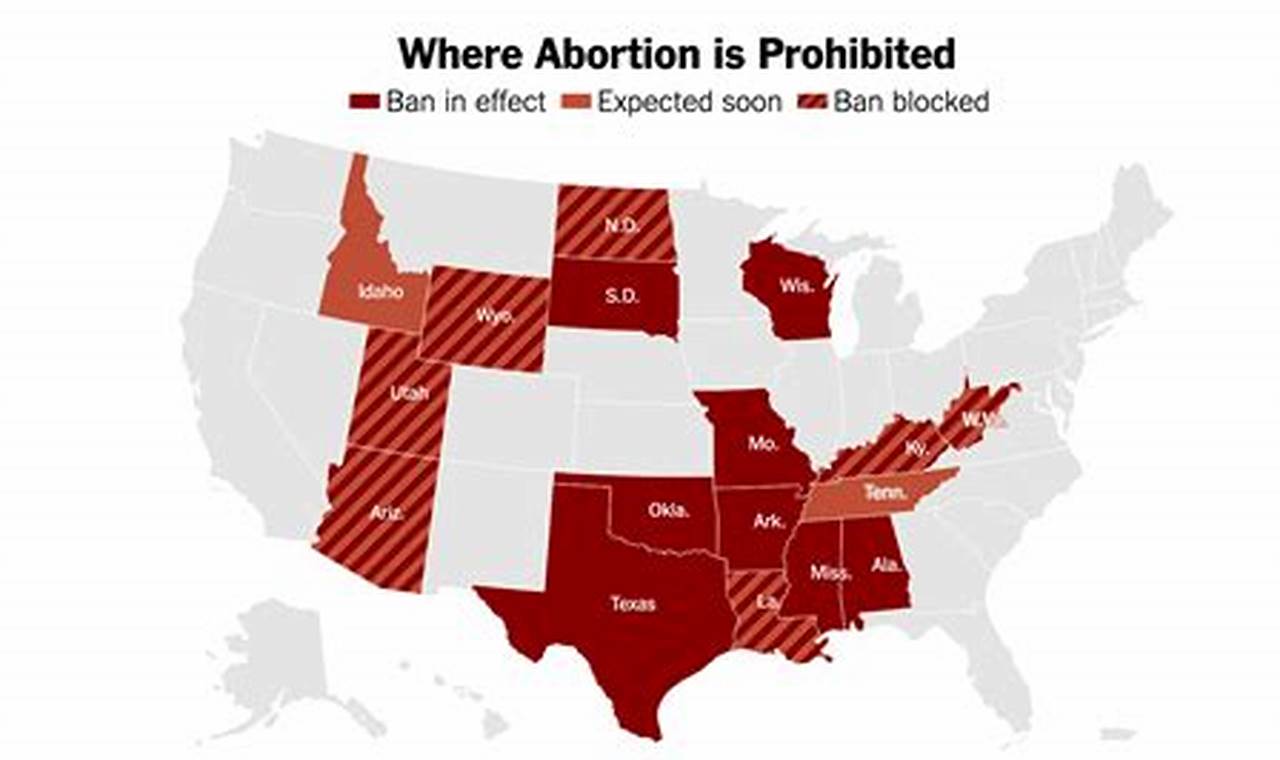 Can You Have An Abortion In Florida 2024