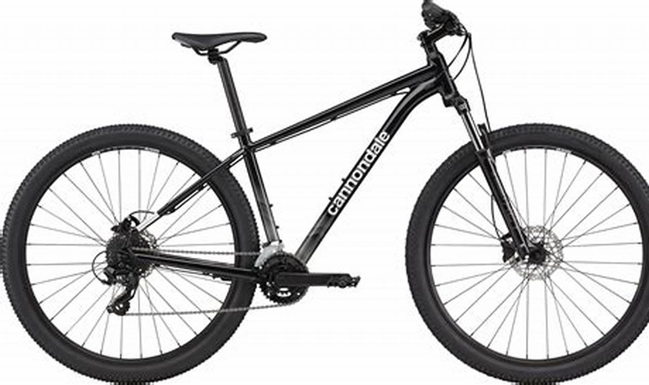 Cannondale Trail 7 2024 Reviews