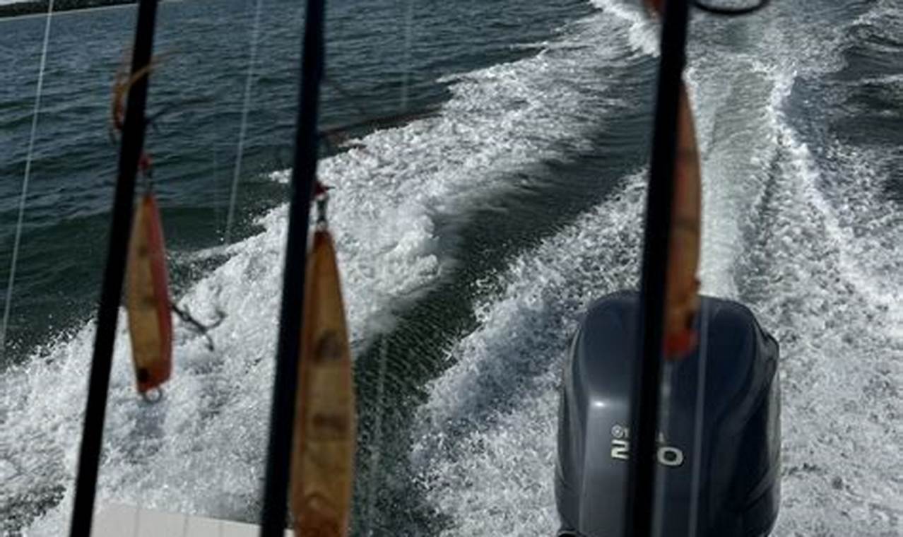 Cape Cod Fishing Report 2024