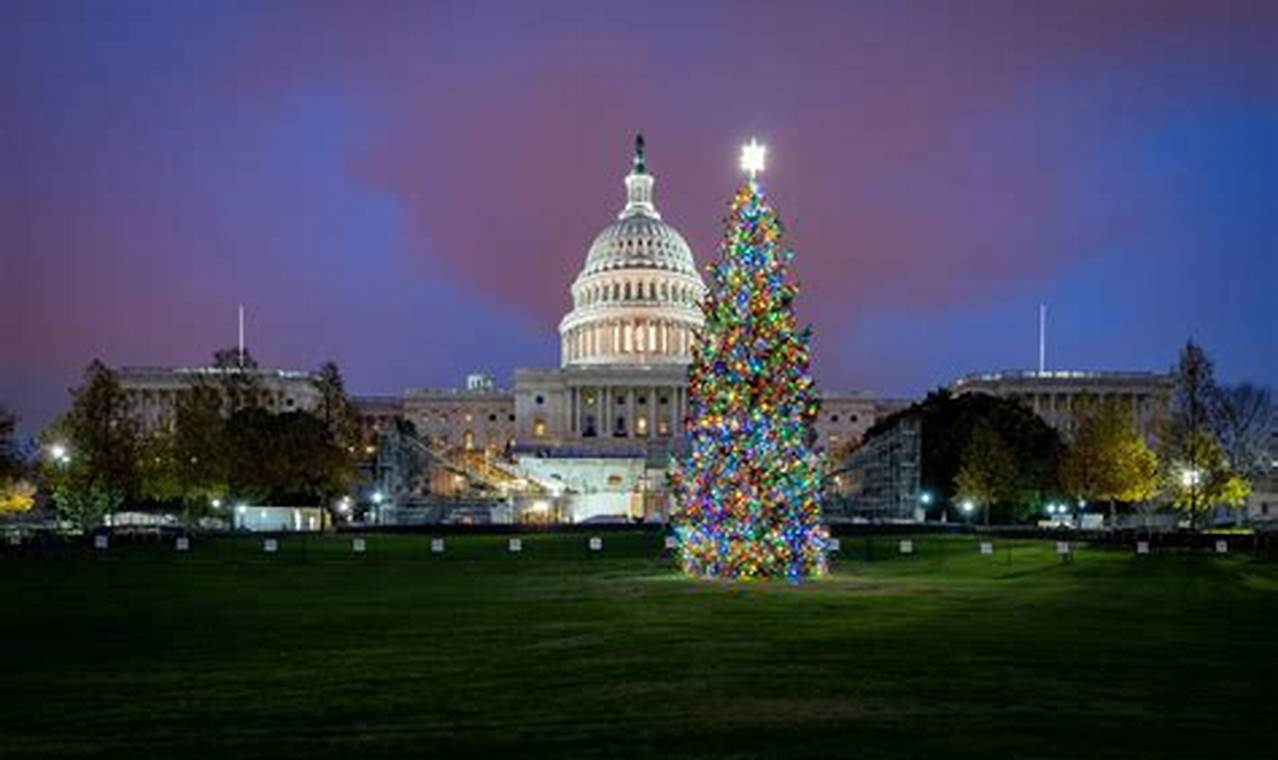 Capitol Christmas Tree Lighting 2024