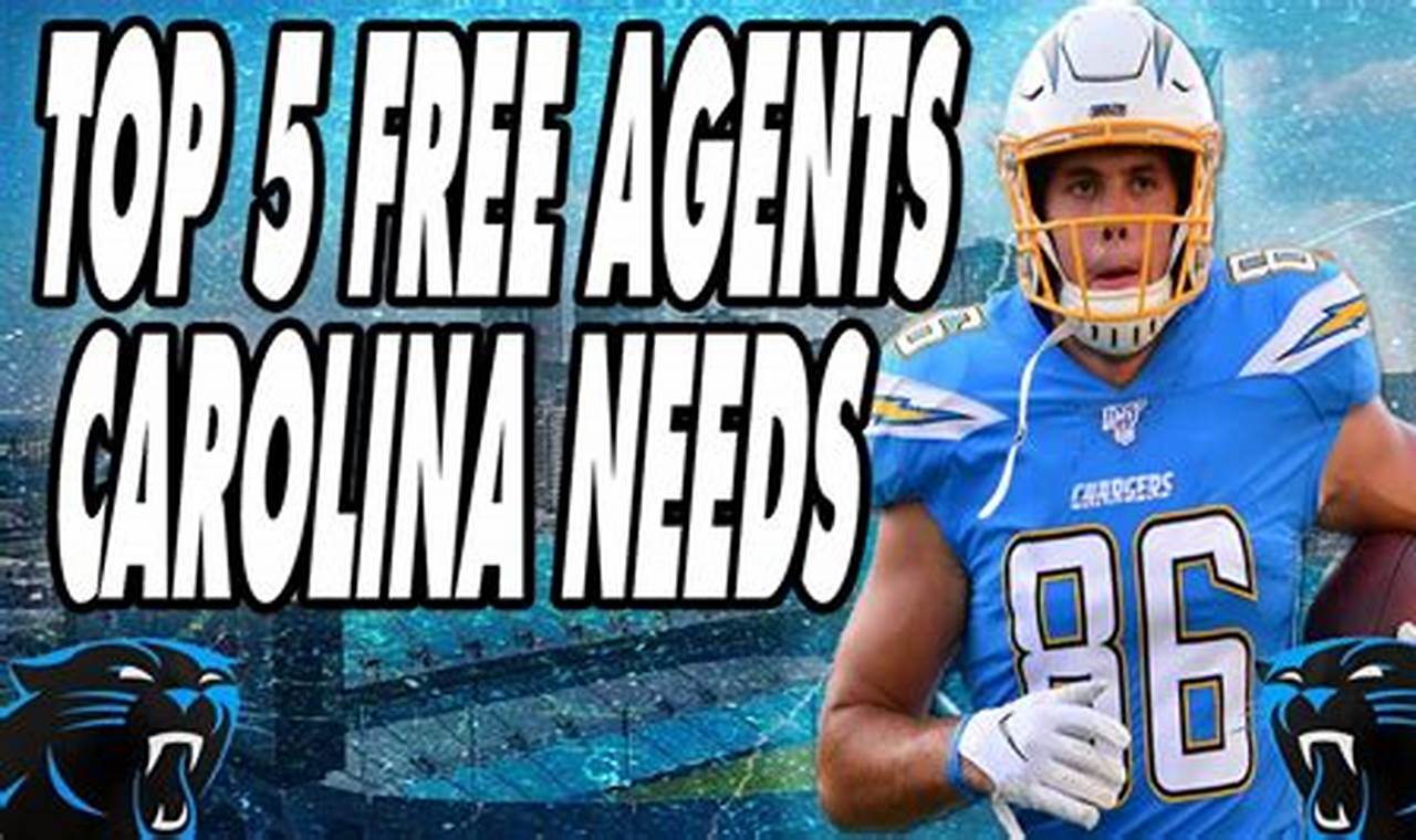 Carolina Panthers Free Agent Targets 2024