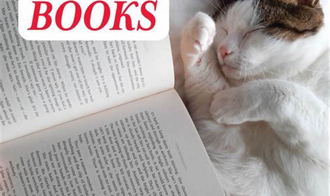 Cat 2024 Books Amazon
