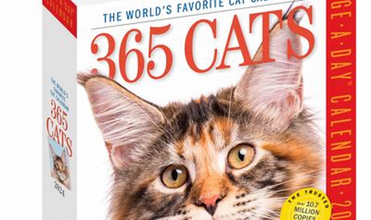 Cat Calendar 2024 Page A Day