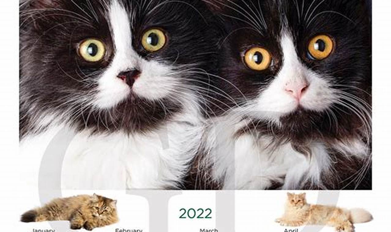 Cat Chat Calendar