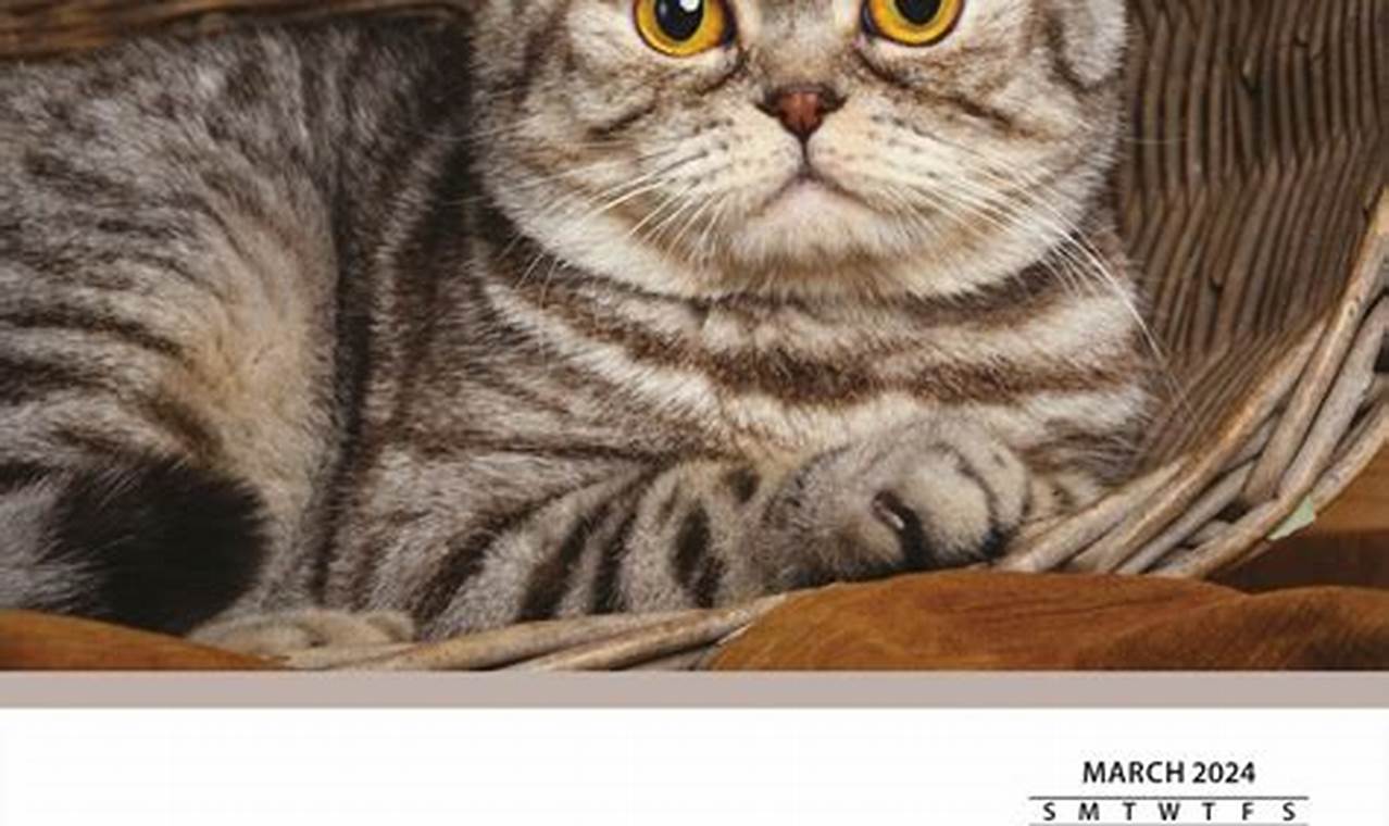 Cat Desk Calendar 2024