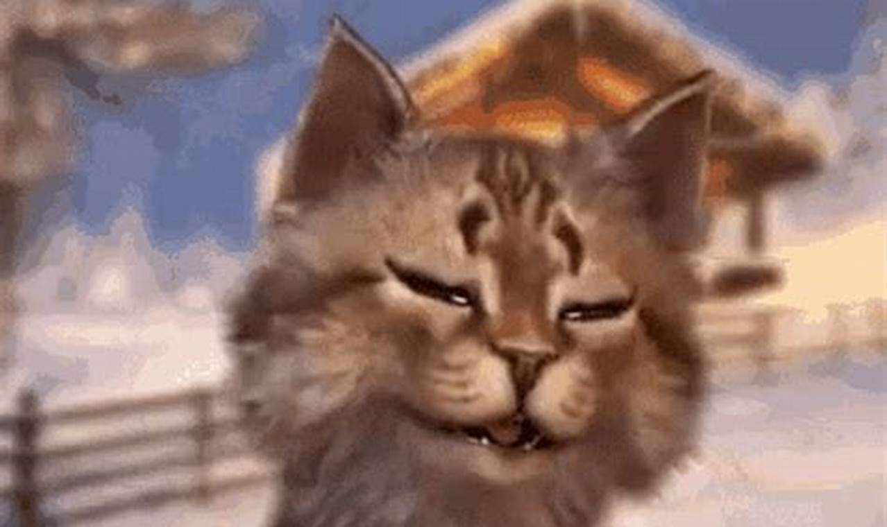 Cat Meowing Animated Gif