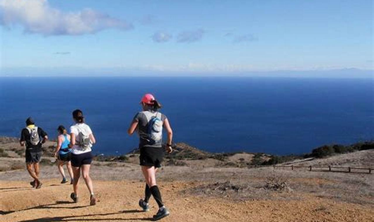 Catalina Island Marathon 2024