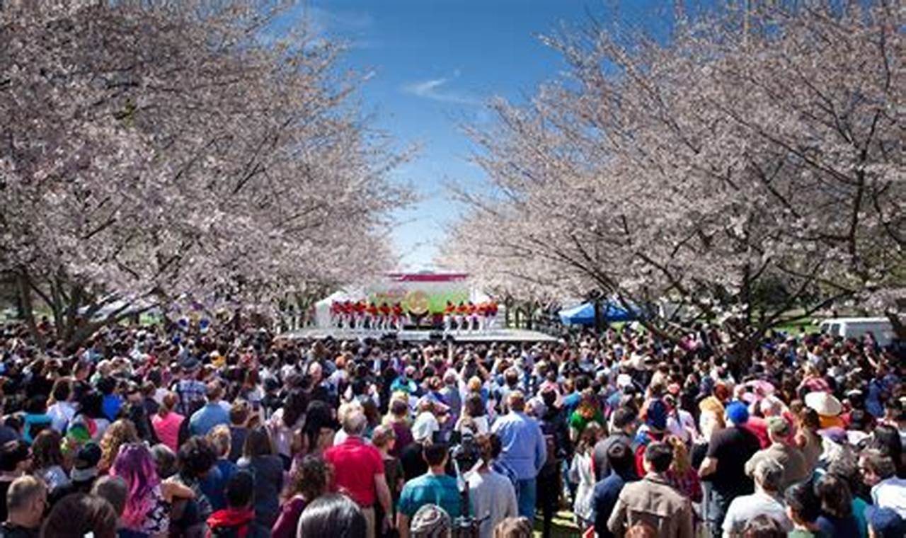 Cherry Blossom Festival 2024 California