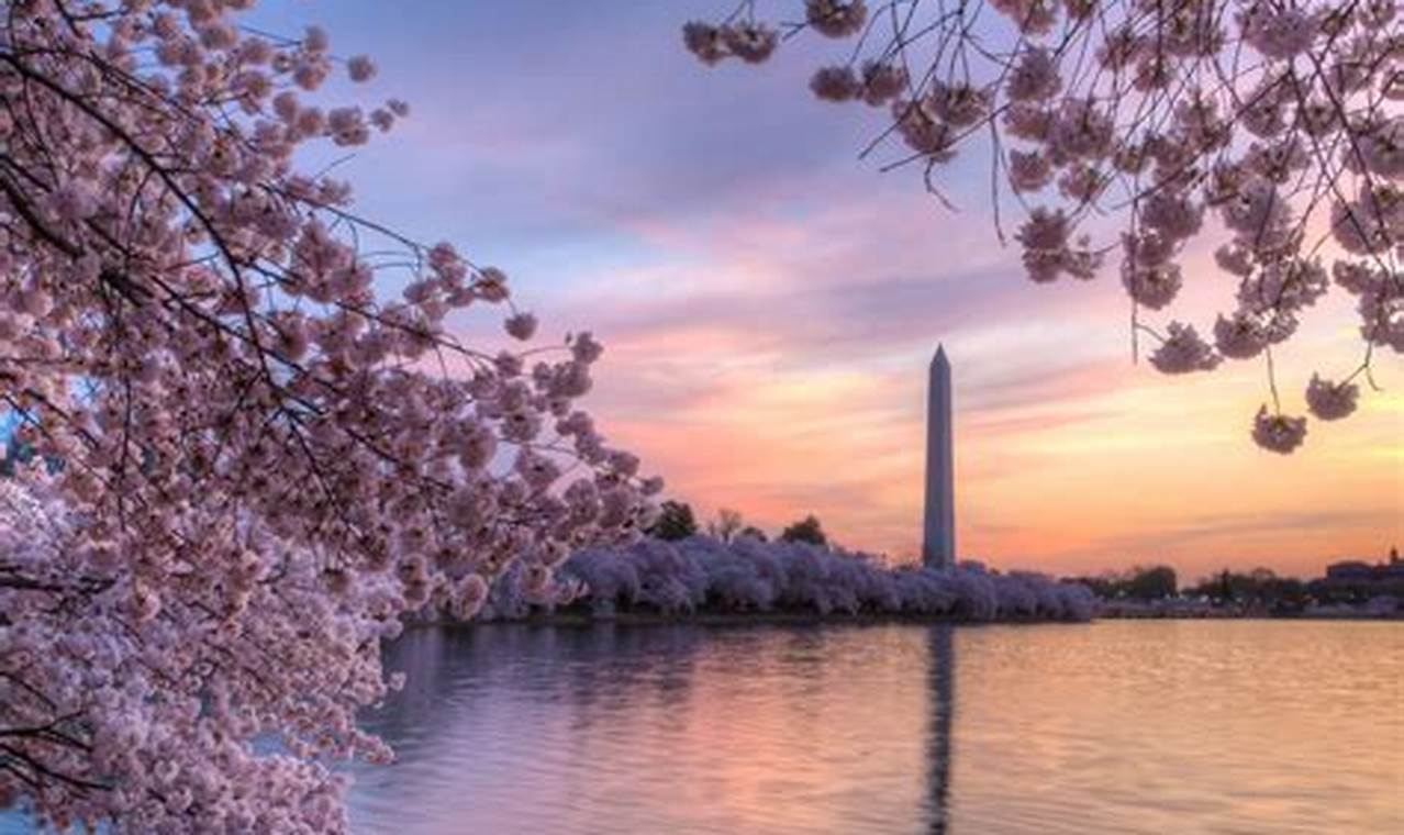 Cherry Blossom Festival Dc Nps