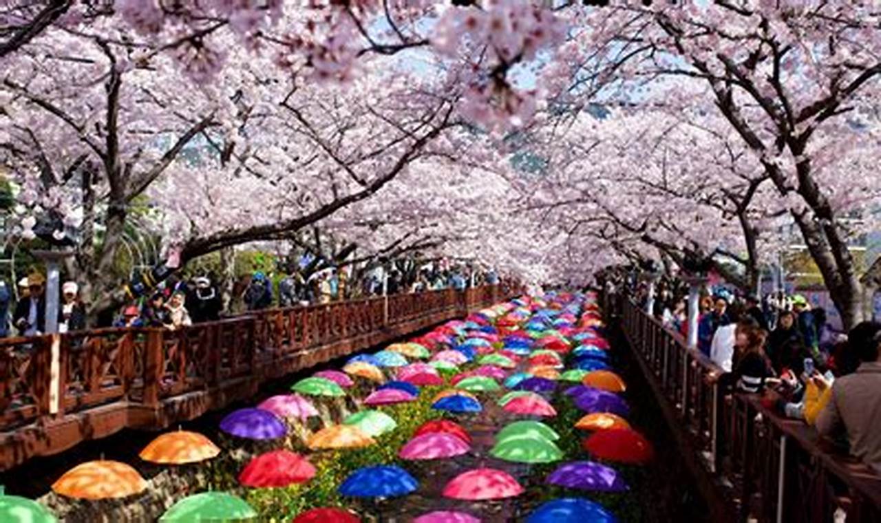 Cherry Blossom Festival Korea 2024