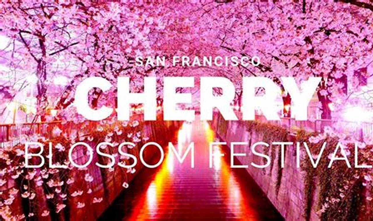 Cherry Blossom Festival San Francisco 2024 Pictures