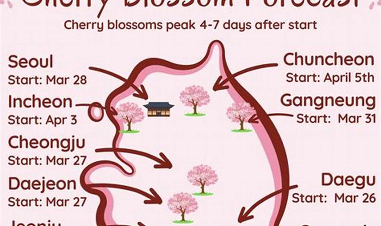 Cherry Blossom Festival Seoul 2024