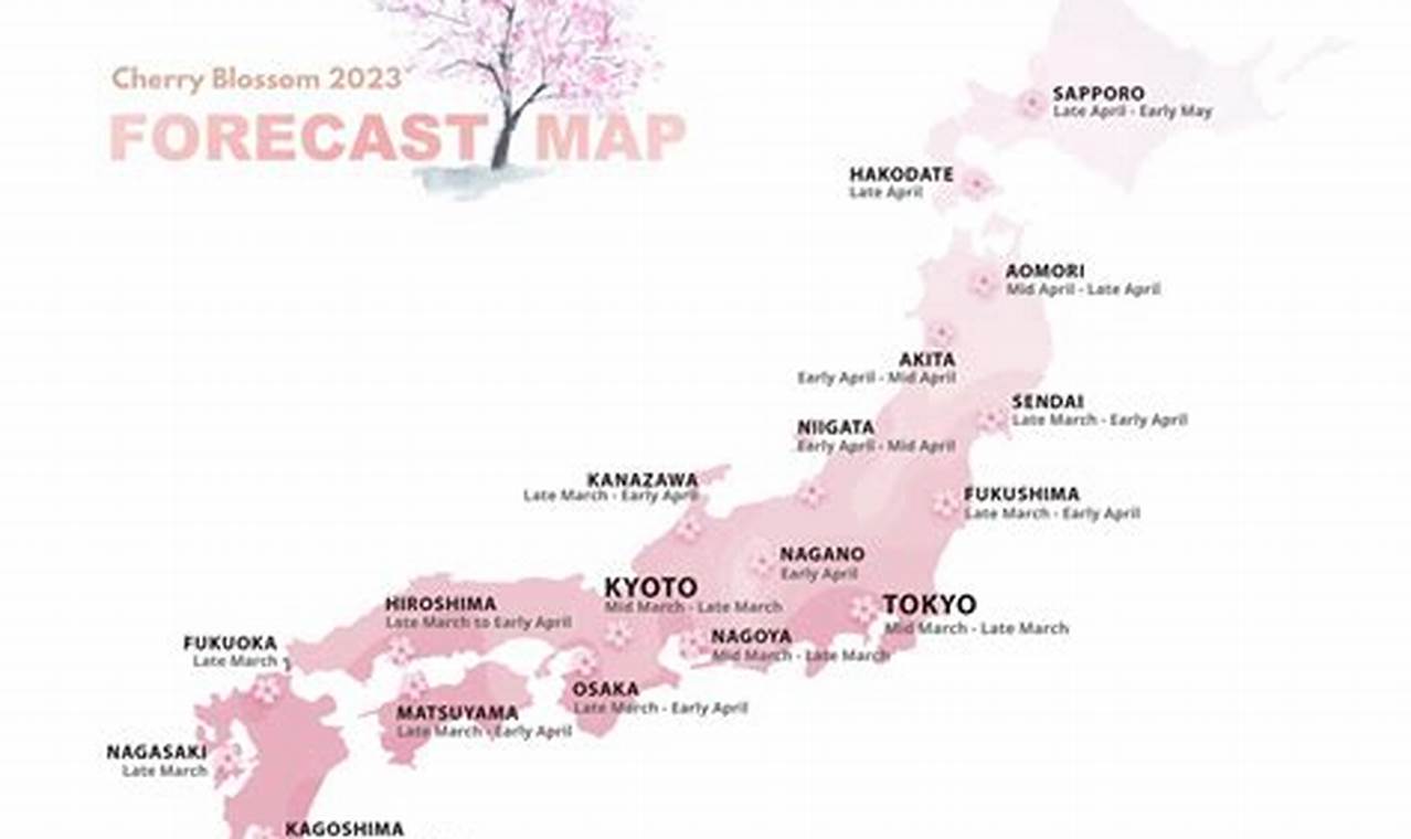 Cherry Blossom Peak Bloom Japan 2024