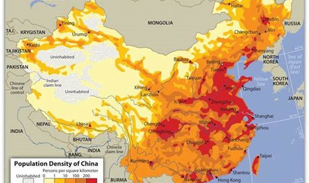China Population Density 2024