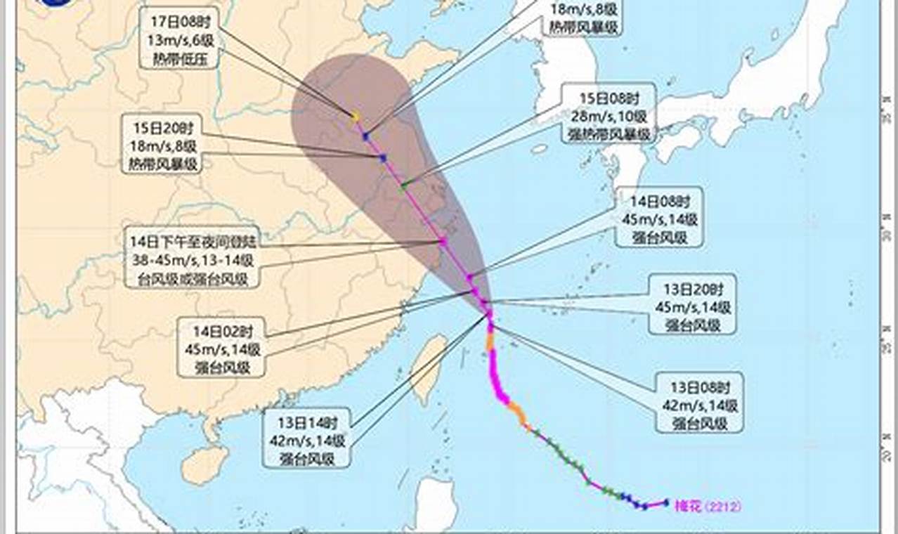 China Typhoon 2024