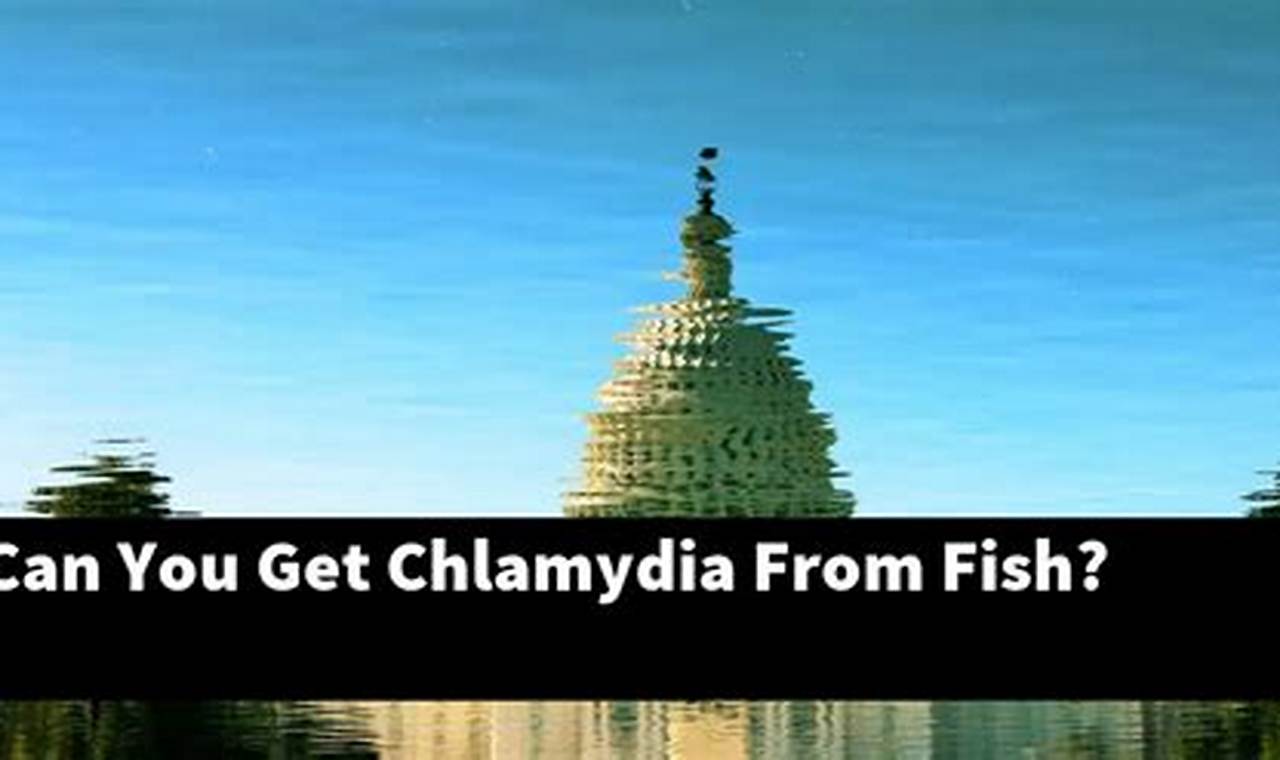 Chlamydia In Fish 2024
