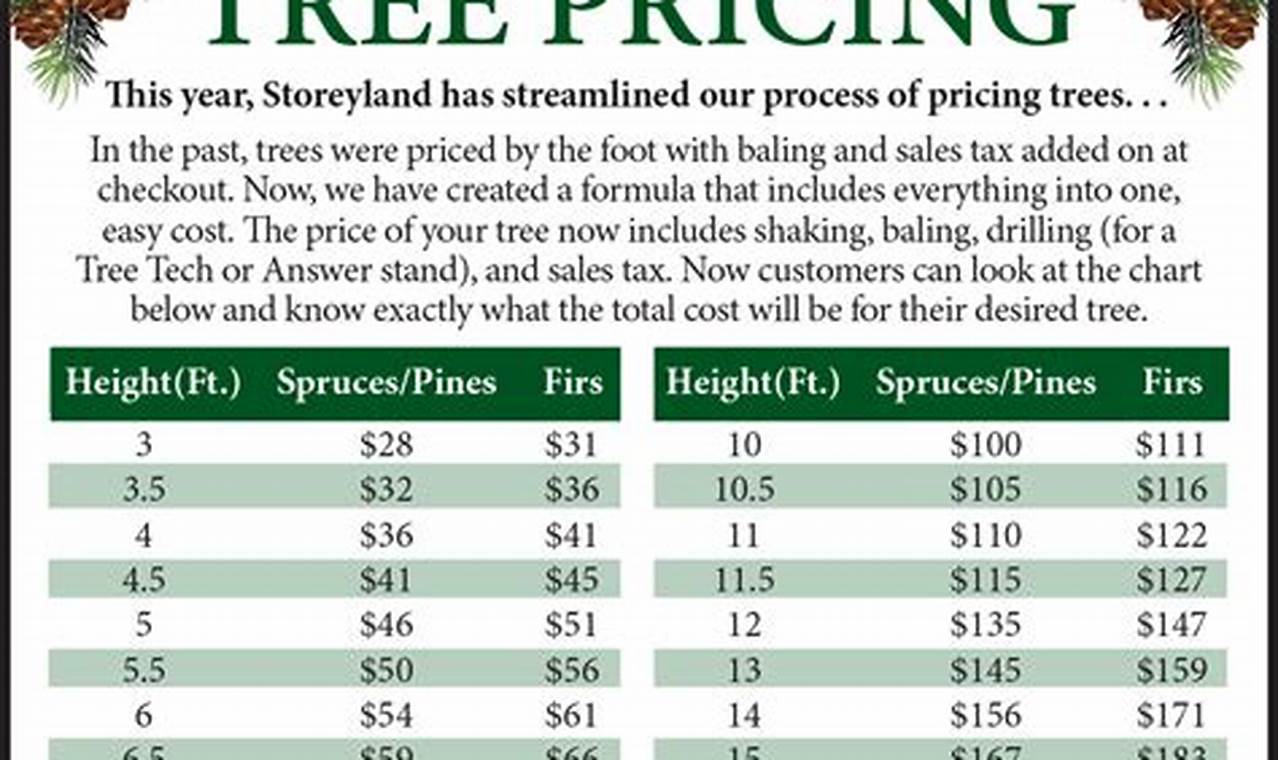 Christmas Tree Prices 2024 Philippines