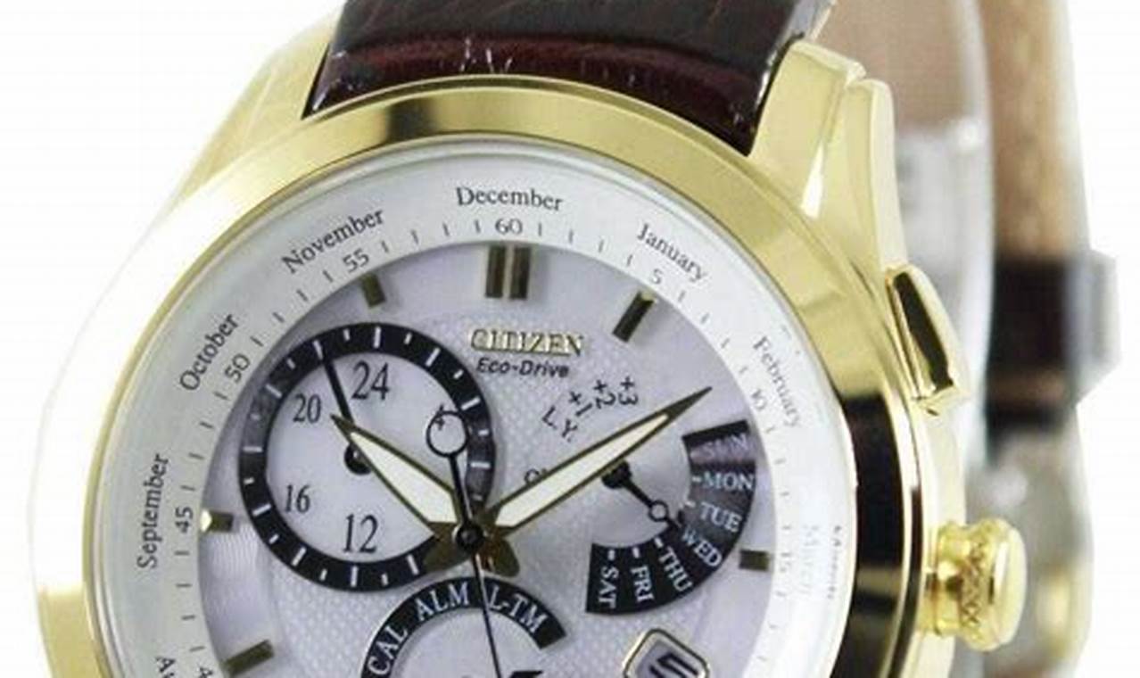 Citizen Eco-Drive Perpetual Calendar Men'S Bracelet Watch