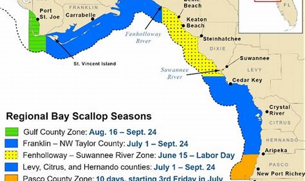 Citrus County Scallop Season 2024