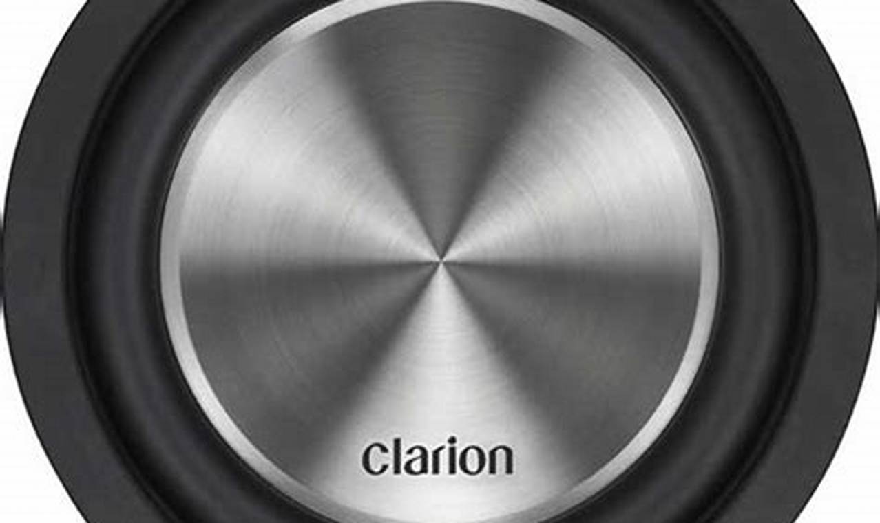 Clarion 10 Inch Subwoofer