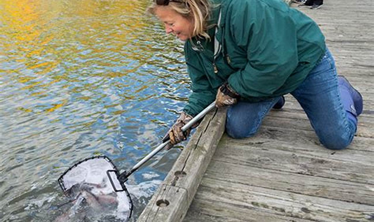 Cleveland Metroparks Trout Stocking 2024