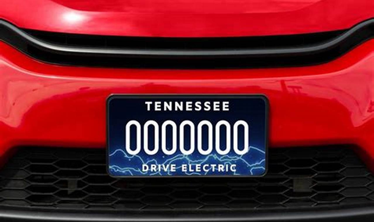 Clever Electric Vehicle License Plates Set