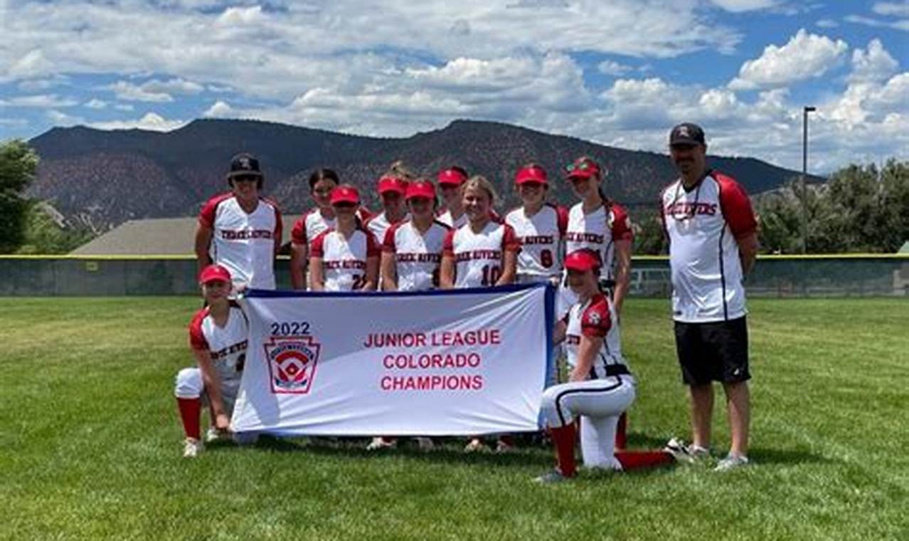 Colorado Little League State Tournament 2024