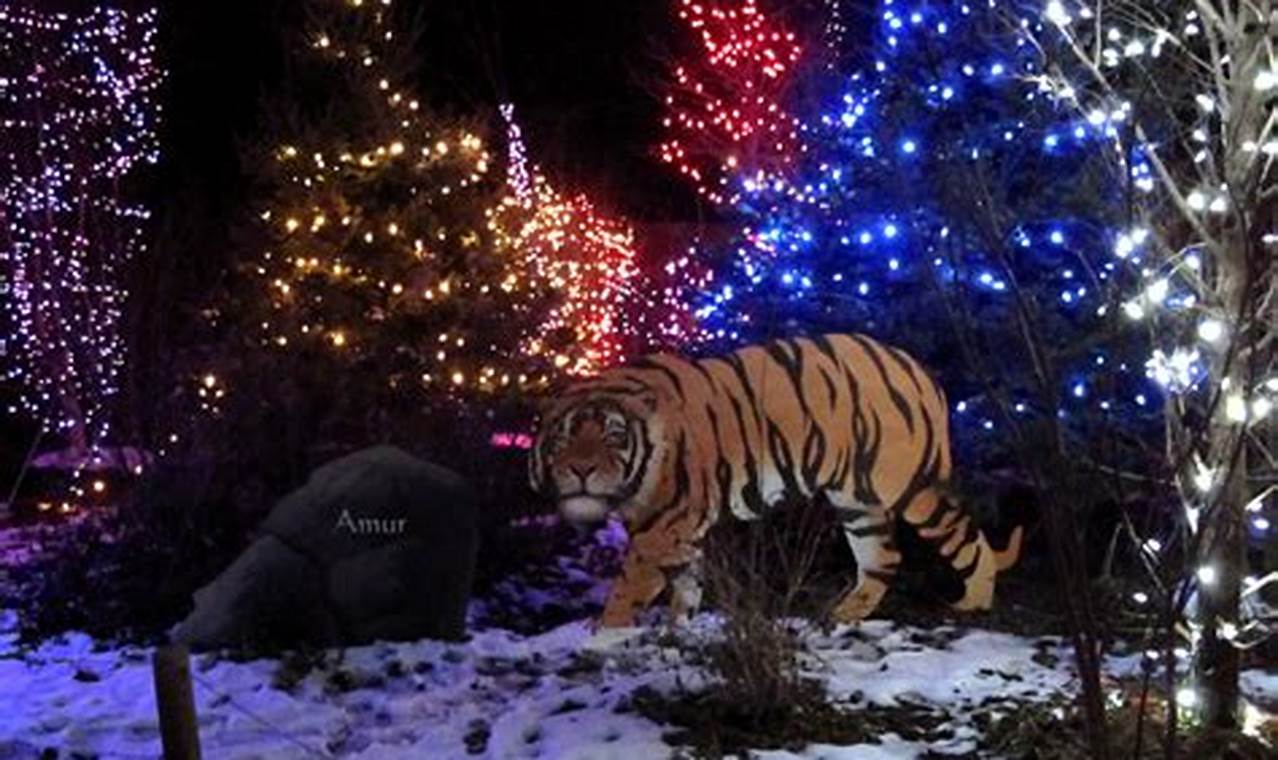 Columbus Zoo Christmas Lights 2024