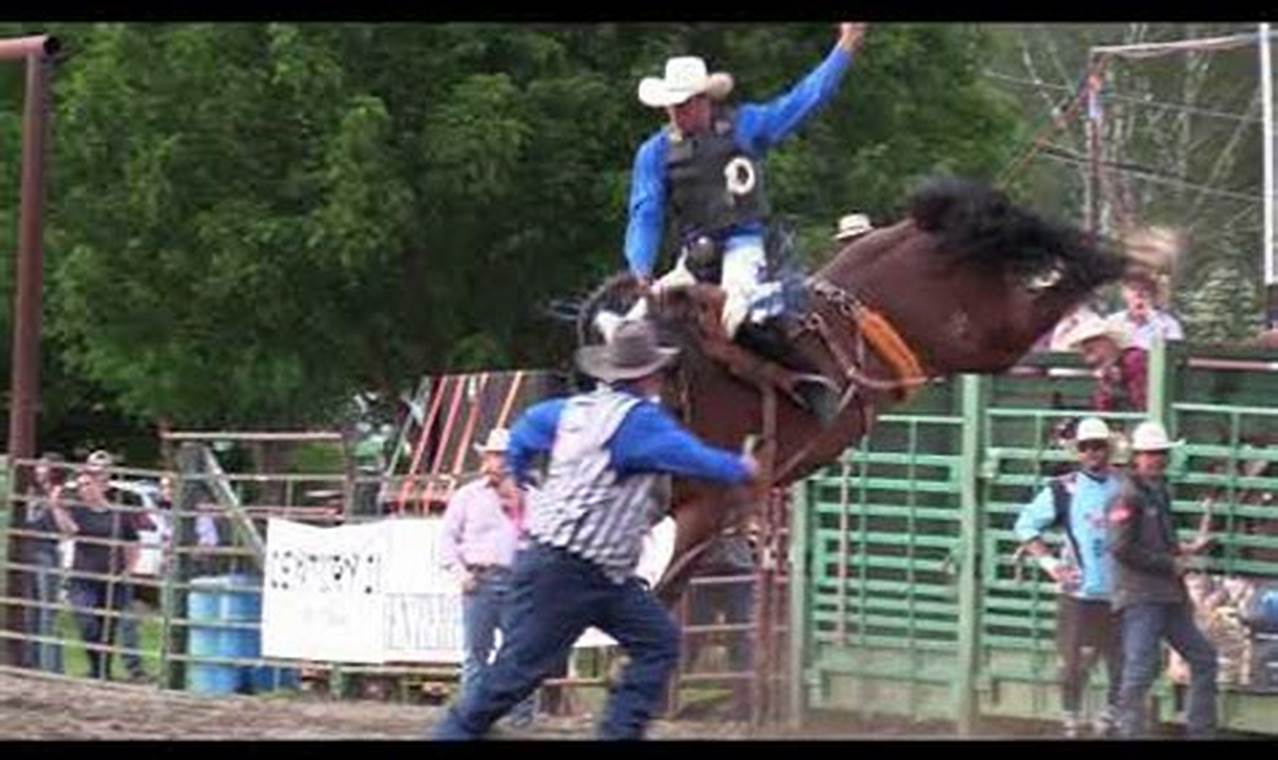 Colville Rodeo 2024