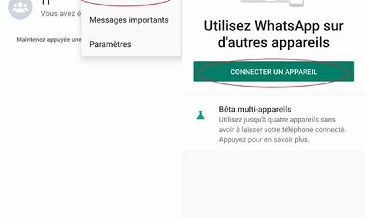 Comment Cloner Whatsapp Sur Un Autre Téléphone Android