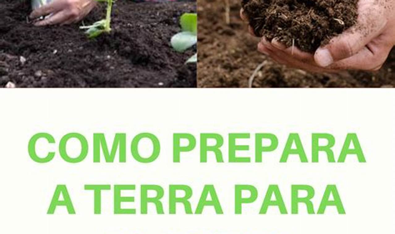 Como Preparar A Terra Para Plantar Jardim
