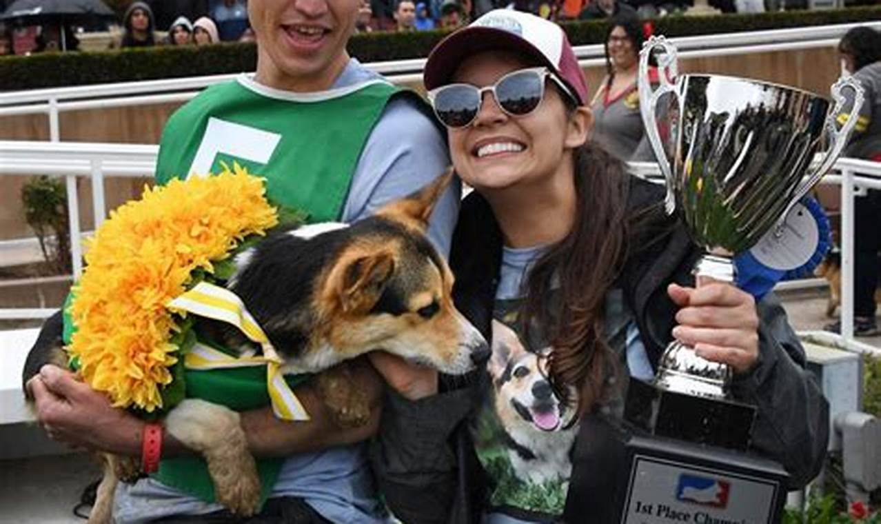 Corgi Races Santa Anita 2024