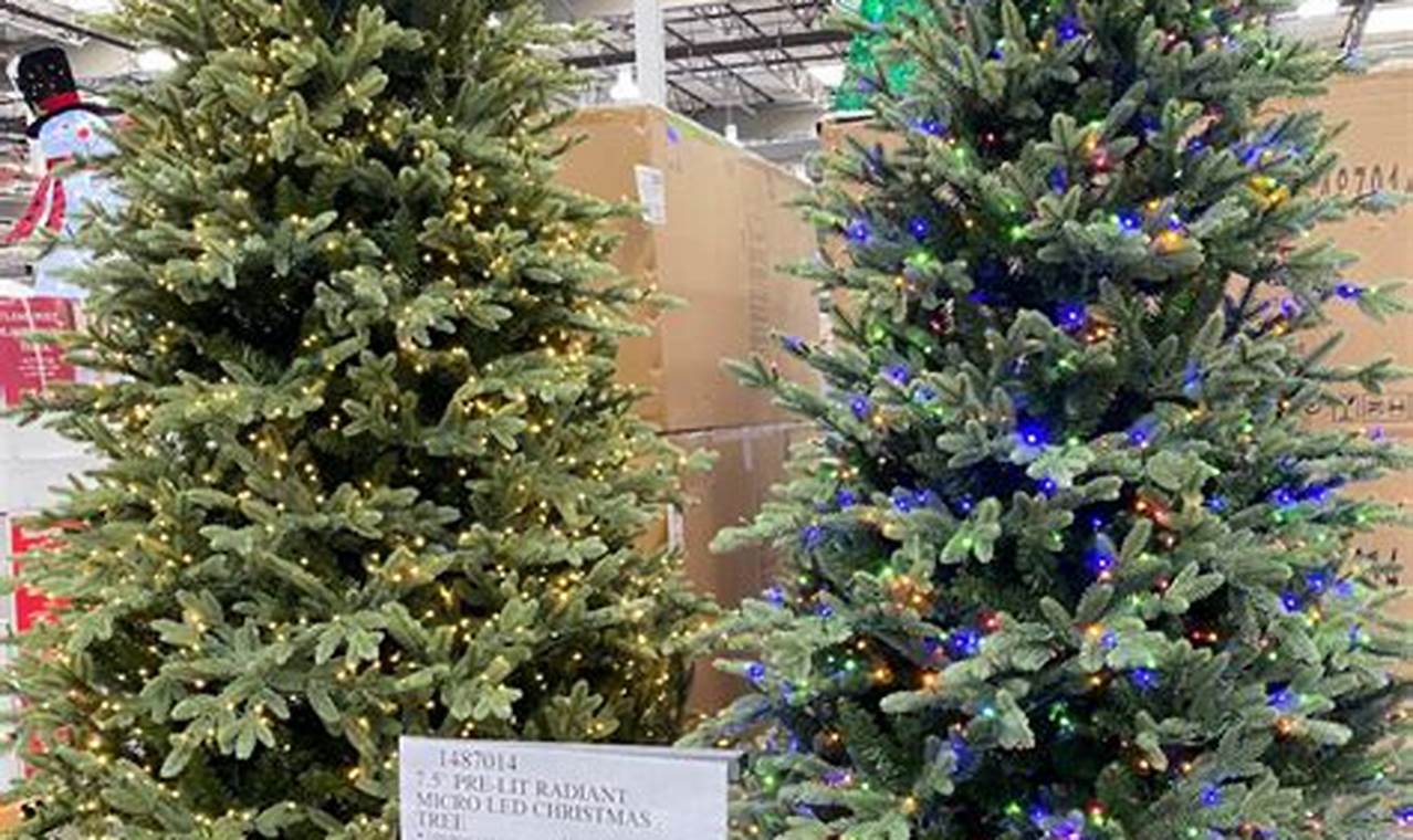 Costco Christmas Tree 2024