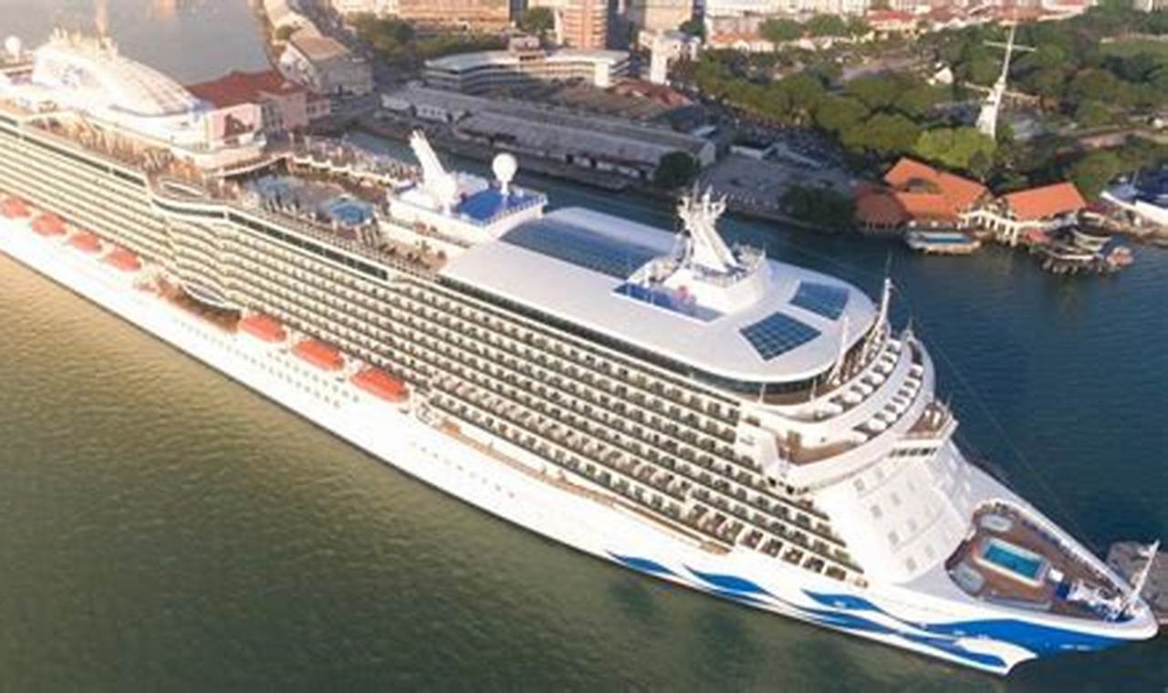 Cruises 2024 Australia To Nz