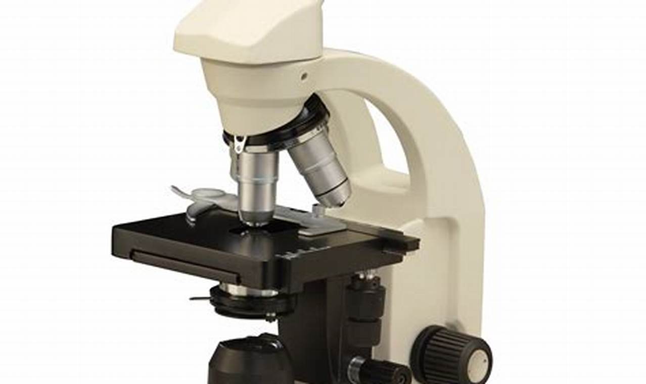 Csw 2024 Compound Microscope