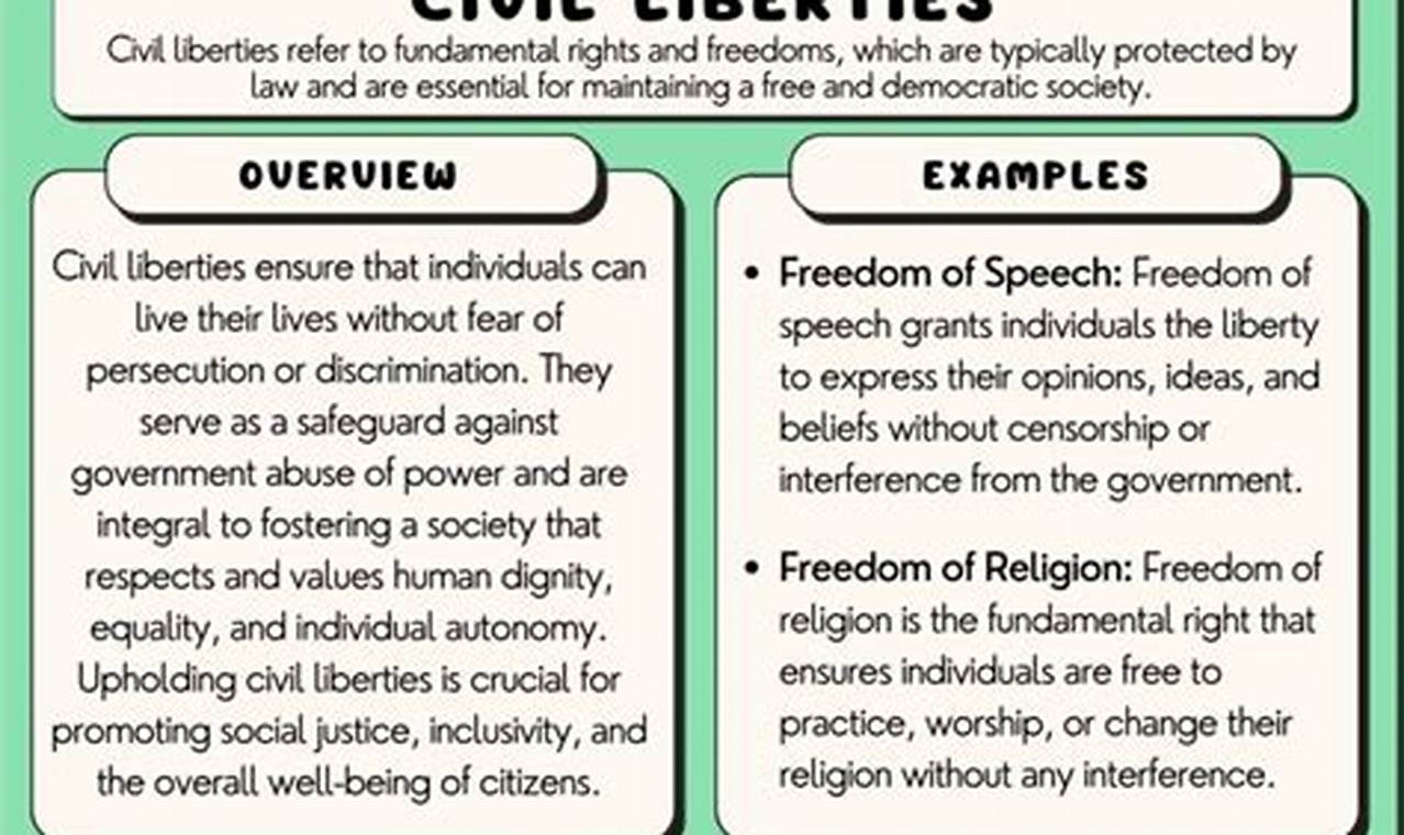 Current Civil Liberties Issues 2024
