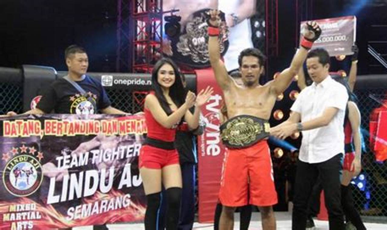 Daftar gaji petarung mma