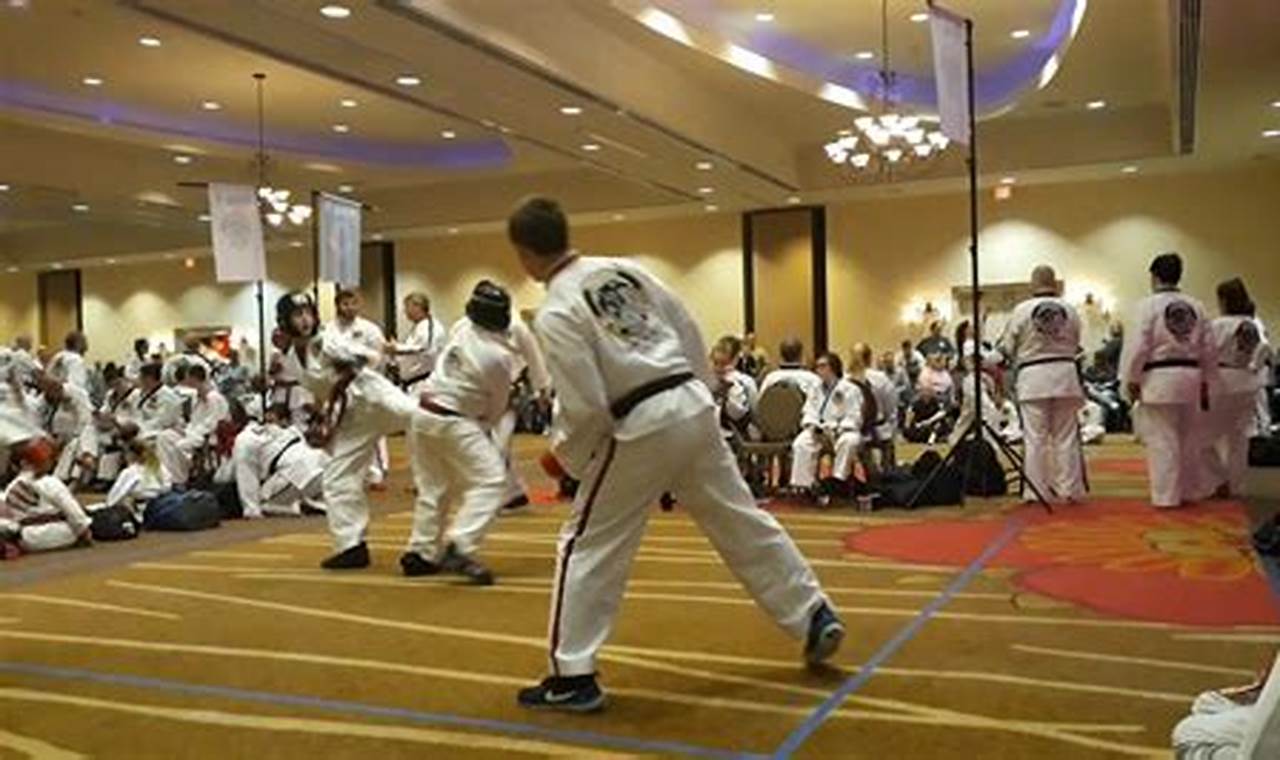 Dallas Taekwondo Tournament 2024