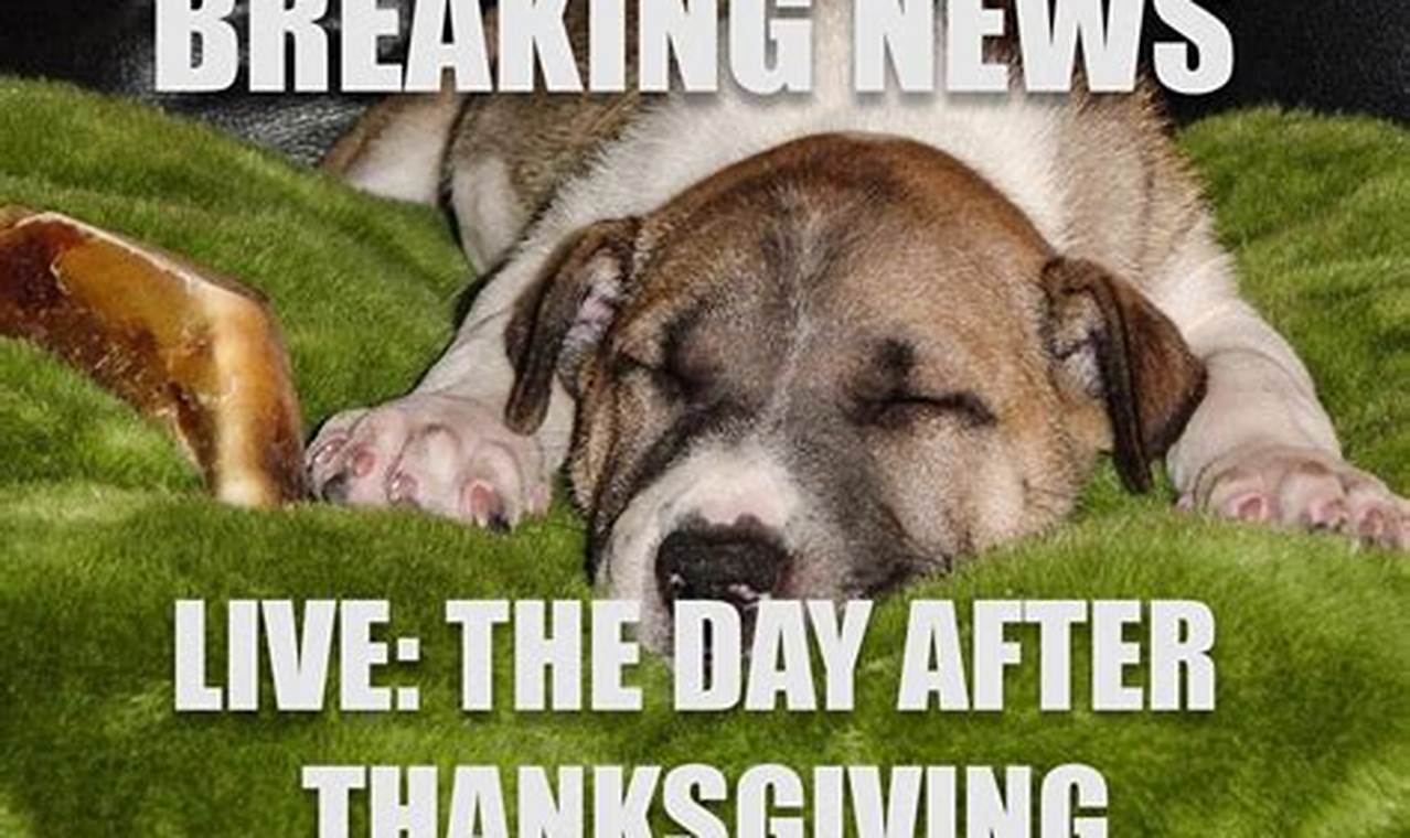 Day After Thanksgiving Day 2024