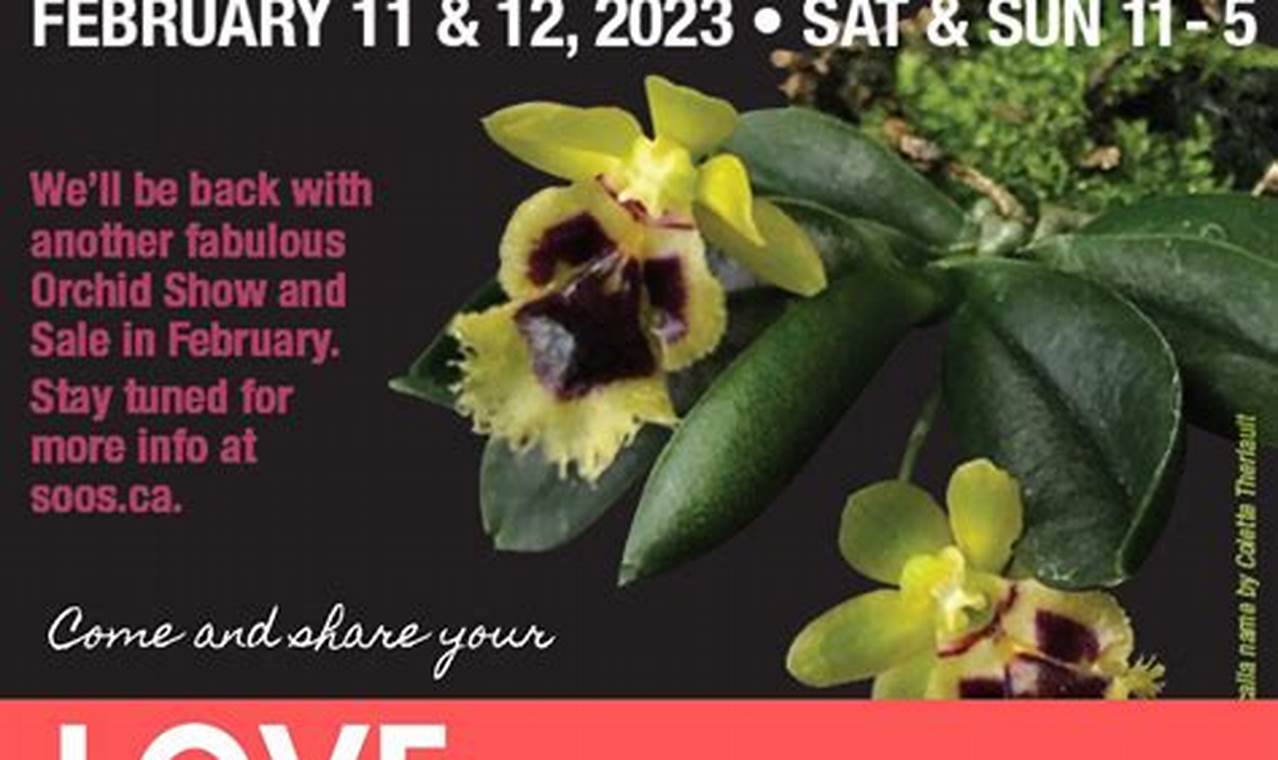 Dc Orchid Show 2024