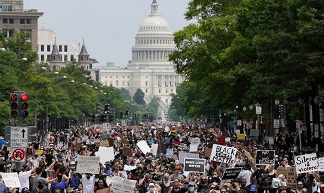 Dc Protests November 14 2024