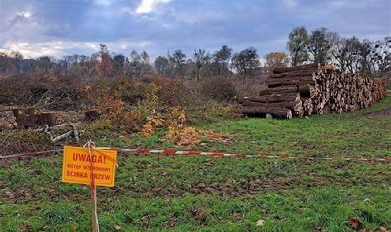 Decyzja O Wywłaszczeniu Nieruchomości Pod Budowę Linii Kablowej Przykład