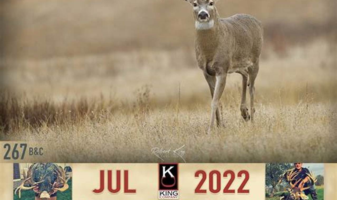 Deer Moon Phase Calendar 2024 Election
