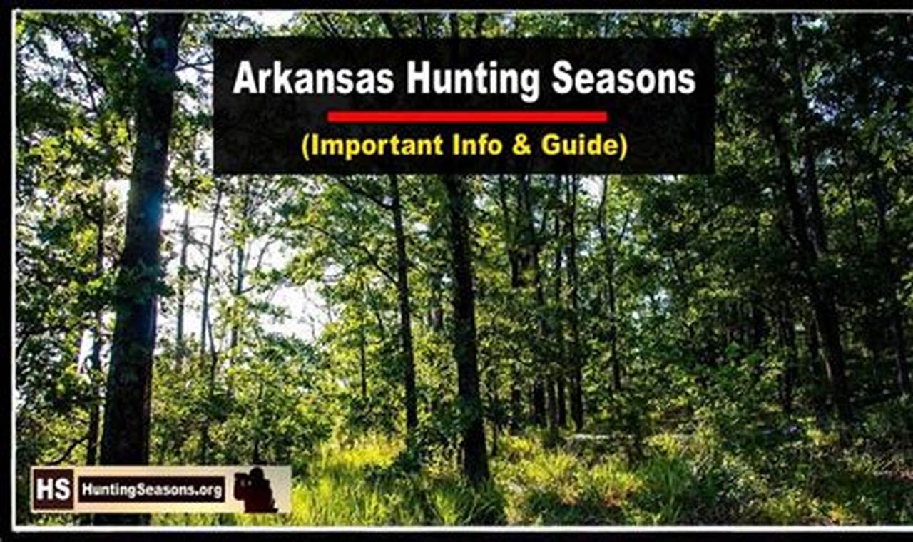 Deer Season Arkansas 2024-2024 Schedule